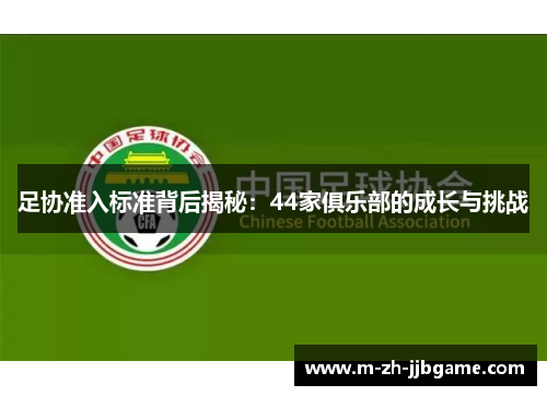 足协准入标准背后揭秘:44家俱乐部的成长与挑战 足协准入标准背后揭秘:44家俱乐部的成长与挑战