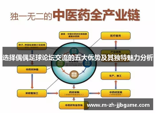 选择偶偶足球论坛交流的五大优势及其独特魅力分析