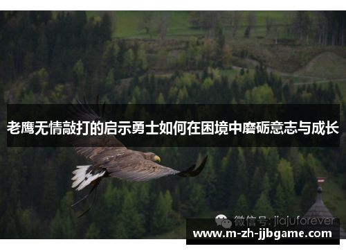 老鹰无情敲打的启示勇士如何在困境中磨砺意志与成长