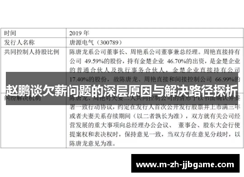 赵鹏谈欠薪问题的深层原因与解决路径探析